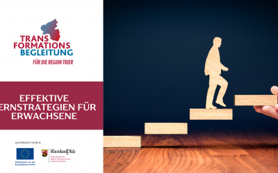 Effektive Lernstrategien für Erwachsene